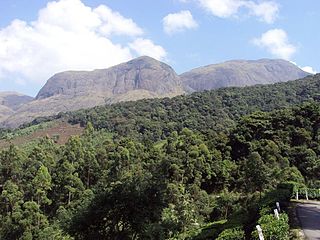 Anamudi, on the right, as seen from the Munnar-Udumalpettai highway