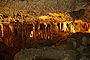 Naracoorte Caves (Naracoorte - South Australia, Australia)
