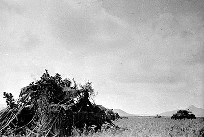 Battle of Lake Khasan-Camouflaged soviet tanks.jpg