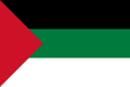 헤자즈 왕국의 국기 (1917년 ~ 1920년)