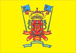 Flagg