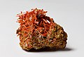 Image 19Crocoite, by JJ Harrison (from Wikipedia:Featured pictures/Sciences/Geology)
