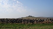 Hound Tor (with drystone livestock paddock)
