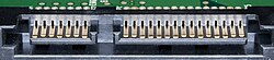 SATA connector on a 3.5-inch hard drive, with data pins on the left and power pins on the right. The two different pin lengths ensure a specific mating order; the longer lengths are ground pins and make contact first.