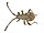 Stub icon