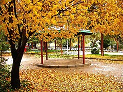 The Hashemi park of Qom in autumn