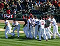 Image 32Baseball games sometimes end in a walk-off home run, with the batting team usually gathering at home plate to celebrate the scoring of the winning run(s). (from Baseball rules)