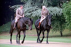 Elizabeth and Ronald Reagan on black horses. He bare-headed; she in a headscarf; both in tweeds, jodhpurs and riding boots.