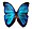 Blue morpho butterfly 300x271.jpg