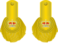 1810 to 1855 lieutenant colonel's shoulder rank insignia