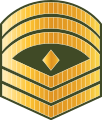 ފަސްޓް ސާރޖަންޓް Fast saarjant (Maldives National Defence Force)[20]