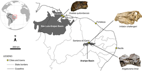 Map of the Northeast Region of Brazil, with the marked fossil discovery sites of Oxalaia, Irritator, and Angaturama