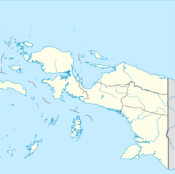 Mimika Regency is located in Western New Guinea