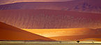 Qum dunalari, Namibiya. Eskiroq dunalar toʻq-qizgʻish va katta, yangiroqlari esa sariq va kichi