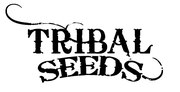 Thumbnail for Tribal Seeds