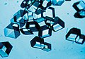 Image 7Synthetic insulin crystals synthesized using recombinant DNA technology (from History of biotechnology)