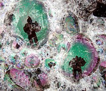 Planktonic sea foam bubbles with image of photographer