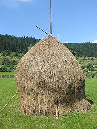 Romanian hay.jpg