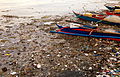 Image 15 Mudflat pollution (from Marine habitat)