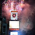 ToshibaVision screen in use during the ball drop in Times Square from 2008 to 2018