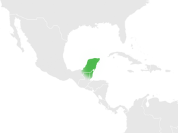 Yucatan Peninsula.png