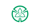 توكوروزاوا (سايتاما)