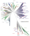 Image 49A 2016 metagenomic representation of the tree of life using ribosomal protein sequences. The tree includes 92 named bacterial phyla, 26 archaeal phyla and five eukaryotic supergroups. Major lineages are assigned arbitrary colours and named in italics with well-characterized lineage names. Lineages lacking an isolated representative are highlighted with non-italicized names and red dots. (from Marine prokaryotes)