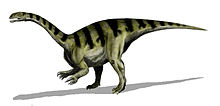 Lateral view drawing of the animal; it is depicted as a biped with grasping hands with palms facing medially. The tail is held high, as is the neck.