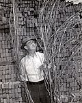 Joe "Daddy Burt" Burton, a recognized top Kentucky hemp farmer with harvested hemp, 1942. Photo by USDA War Board - Lexington, Kentucky.[176]