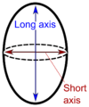 Spheroid or near-spheroid organs such as testes may be measured by "long" and "short" axis.[11]