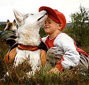 A white dog in a harness playfully nuzzles a young boy