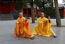 Zwei Großmeister des Shaolin-Tempels