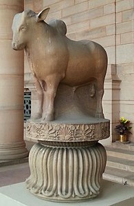 Rampurva zebu bull original (now in Rashtrapati Bhavan, New Delhi).