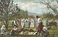 Image 18A lamb roast and "kolo" (circle) dancing - Bosnia and Herzegovina, 1895 (from Culture of Bosnia and Herzegovina)