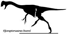 Ojoraptorsaurus boerei.jpg