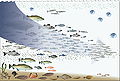 Image 35Fishing down the food web (from Marine food web)