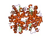 1shr: Crystal structure of ferrocyanide bound human hemoglobin A2 at 1.88A resolution