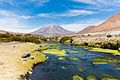 5. A San Pedro de Inacaliri folyó az 5960 méter magas Paniri rétegvulkánnal a háttérben (Észak-Chile, a bolíviai határ közelében, El Loa tartomány, Antofagasta régió) (javítás)/(csere)