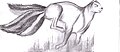 Illustrasjon av en løpende Ulhale, hvit pels