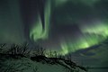 12. Aurora boreale in su parcu natzionale de Abisko, a curtzu a su lagu Torneträsk, in Isvètzia.