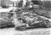 Bodies of massacre victims, many with hands still bound