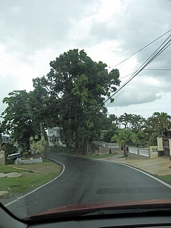 Puerto Rico Highway 617 north