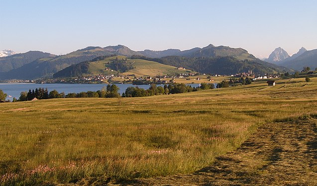 Northern shore meadows of Sihlsee, an artificial lake near Einsiedeln in the Canton of Schwyz, Switzerland. (Credit: Markus Bernet.)