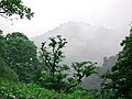 Foreste nella regione di Gilan