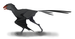 Ambopteryx restoration.png