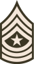 Army-USA-OR-09c (Army greens).svg