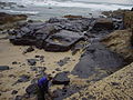 Operario limpando nas praias de Muxía o chapapote procedente da marea negra do Prestige, nas datas posteriores ao 13 de novembro de 2002.