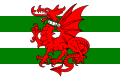 Flag of Plomelin