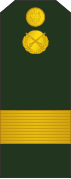 Sergent major