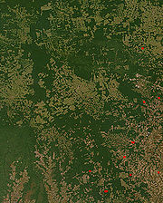 NASA satellite observation of deforestation in the Mato Grosso state of Brazil. The transformation from forest to farm is evident by the paler square shaped areas under development.